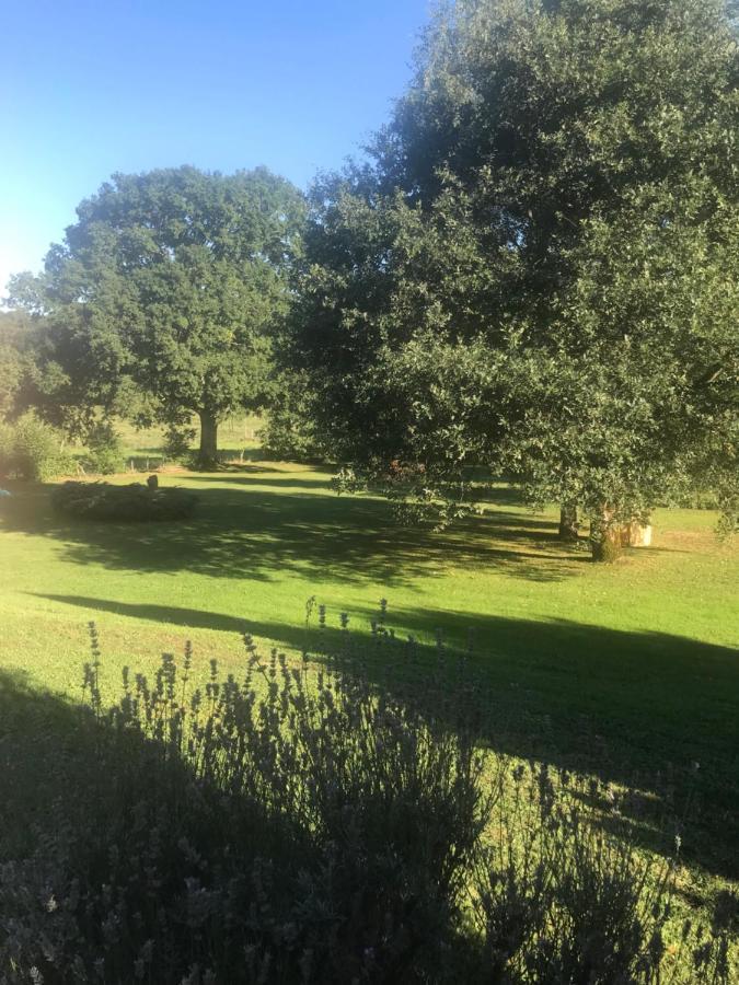 Maison Conviviale 8 Personne Avec Piscine Interieure, A La Campagne Ferienhaus